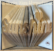 Load image into Gallery viewer, Sunshine with heart : : Hand folded book art