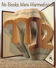 Load image into Gallery viewer, Signs of the zodiac :: Your Horoscope in a book