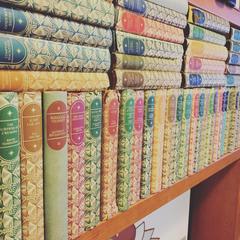 Prettiest stock in the world