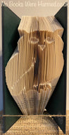Side on Owl